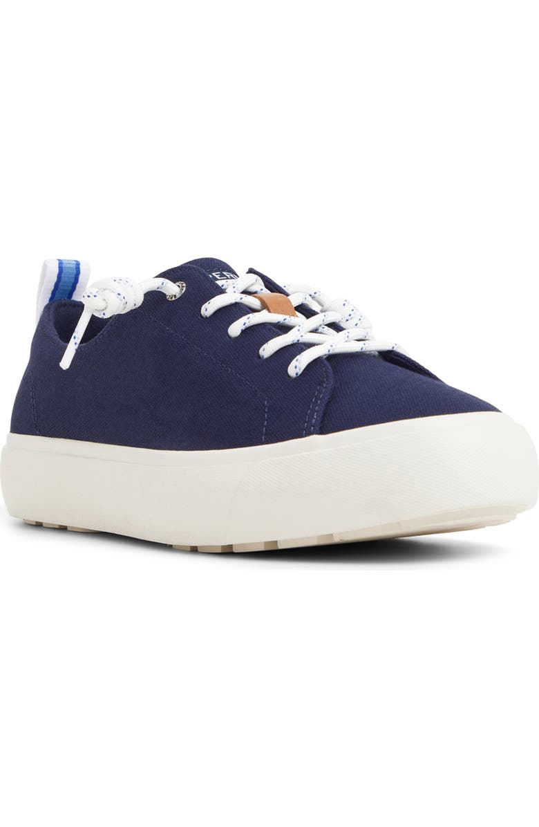 Sperry Cove Lace-to-Toe Sneaker, Main, color, Navy
