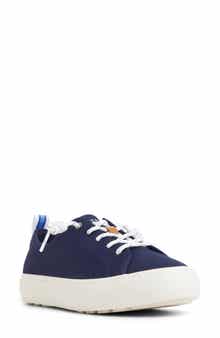 Sperry Cove Lace-to-Toe Sneaker