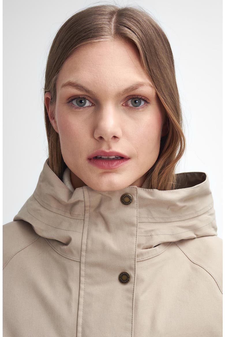 Winter Beadnell Waterproof Jacket, Alternate, color, SAND DUNE/CLASSIC