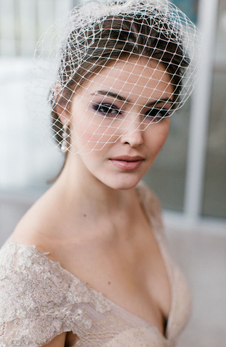 Toni Federici Dixie Birdcage Veil, Main, color, 