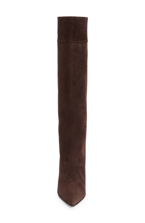 Manolo Blahnik Miralone Pointed Toe Tall Boot In Brown