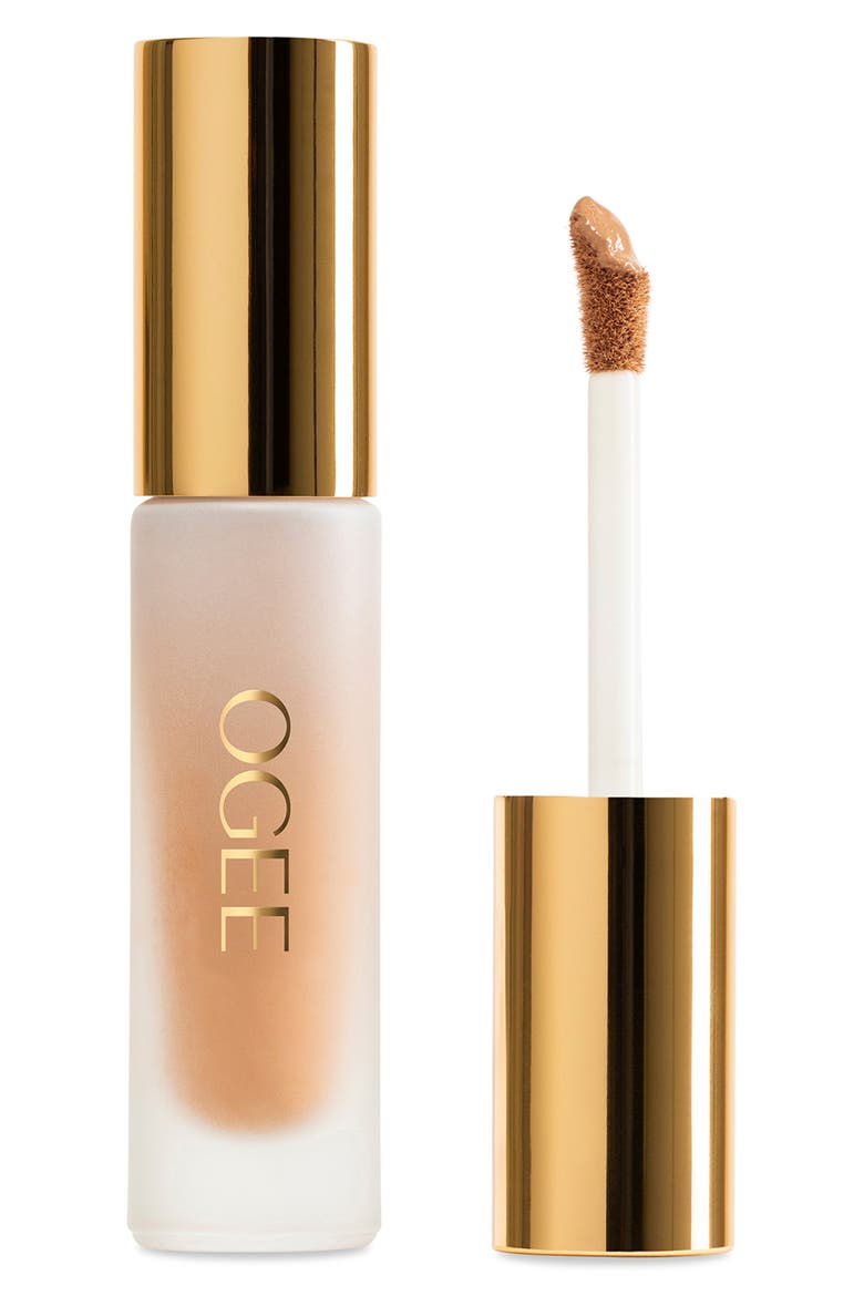 Complexion Perfecting Concealer, Main, color, LARCH