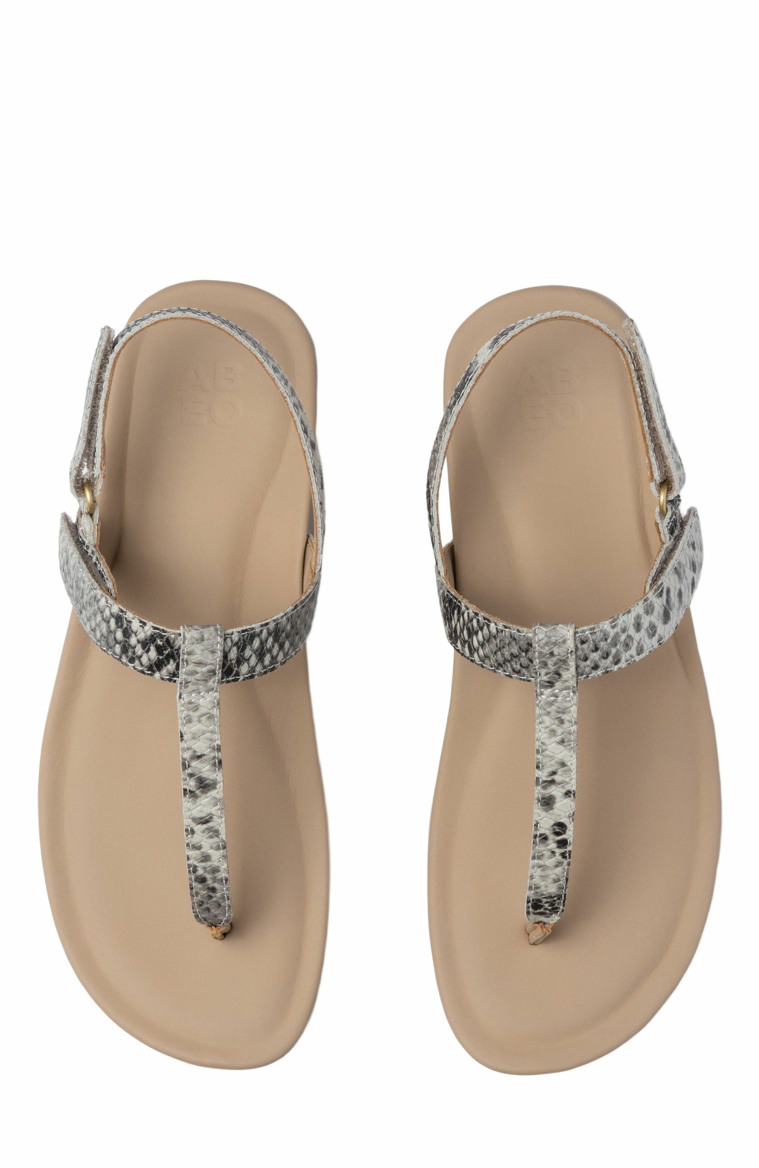 Oasis T Strap Sandal, Alternate, color, Snake - Regular