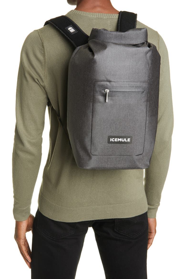 Coolers Jaunt 9L Backpack Cooler, Alternate, color, SNOW GREY