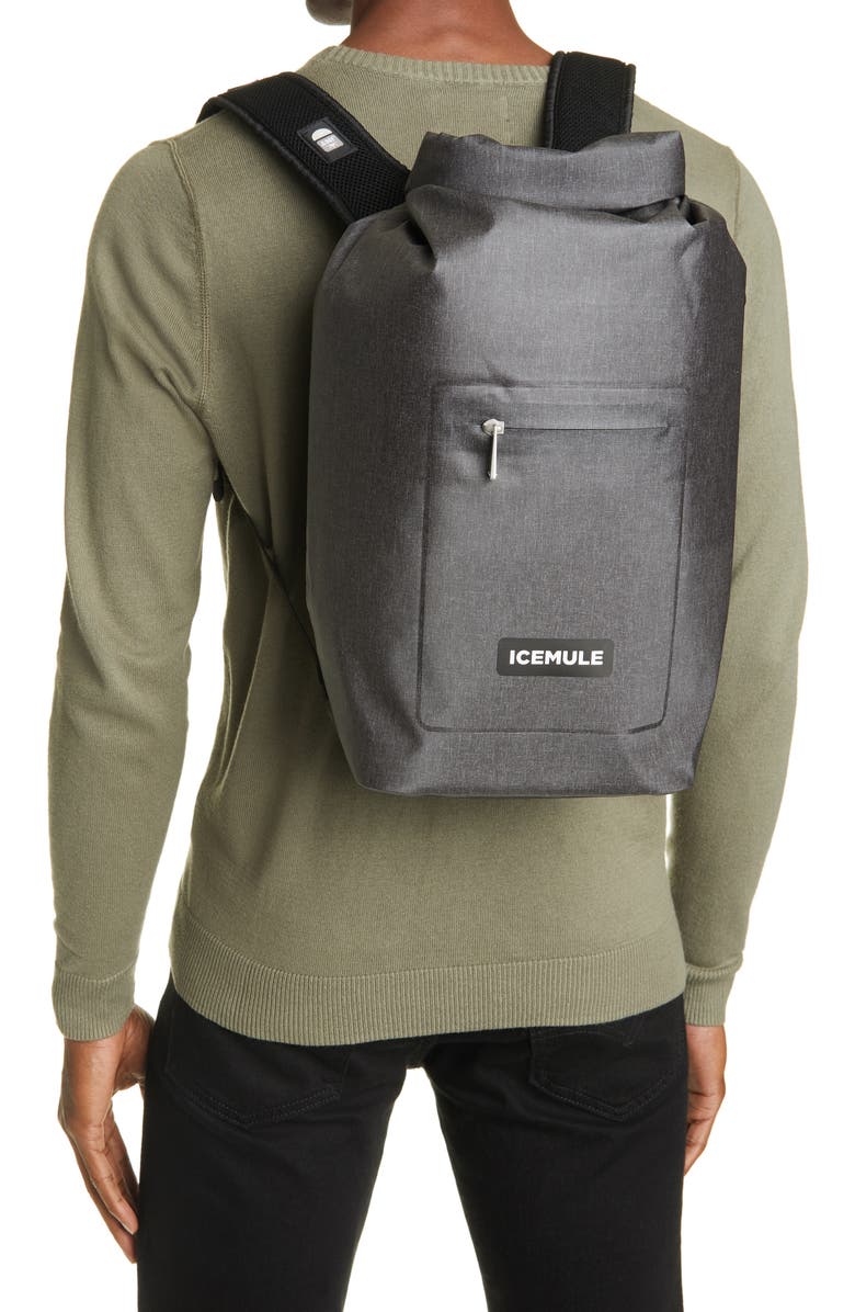 ICEMULE Coolers Jaunt 9L Backpack Cooler, Alternate, color,