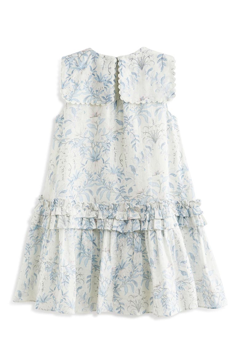 Floral Sleeveless Scallop Collar Cotton Dress, Alternate, color, WHITE/ BLUE