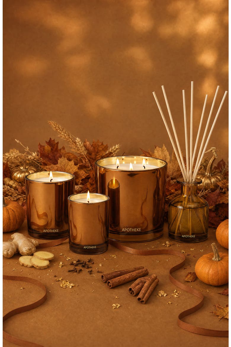 Pumpkin Ginger Reed Diffuser, Alternate, color, RUST/ COPPER