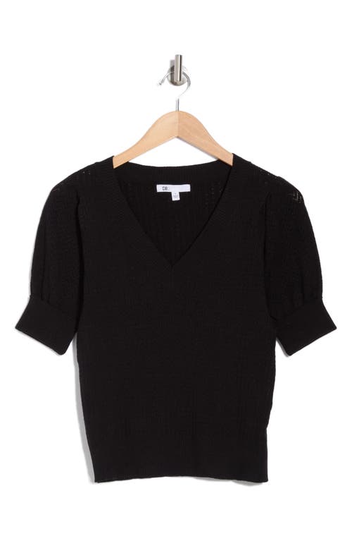 Dr2 By Daniel Rainn Pointelle Stitch Sweater In P469 Black