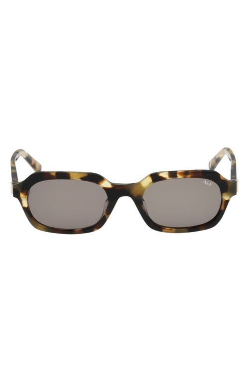 Abercrombie & Fitch 50mm Oval Sunglasses In Brown