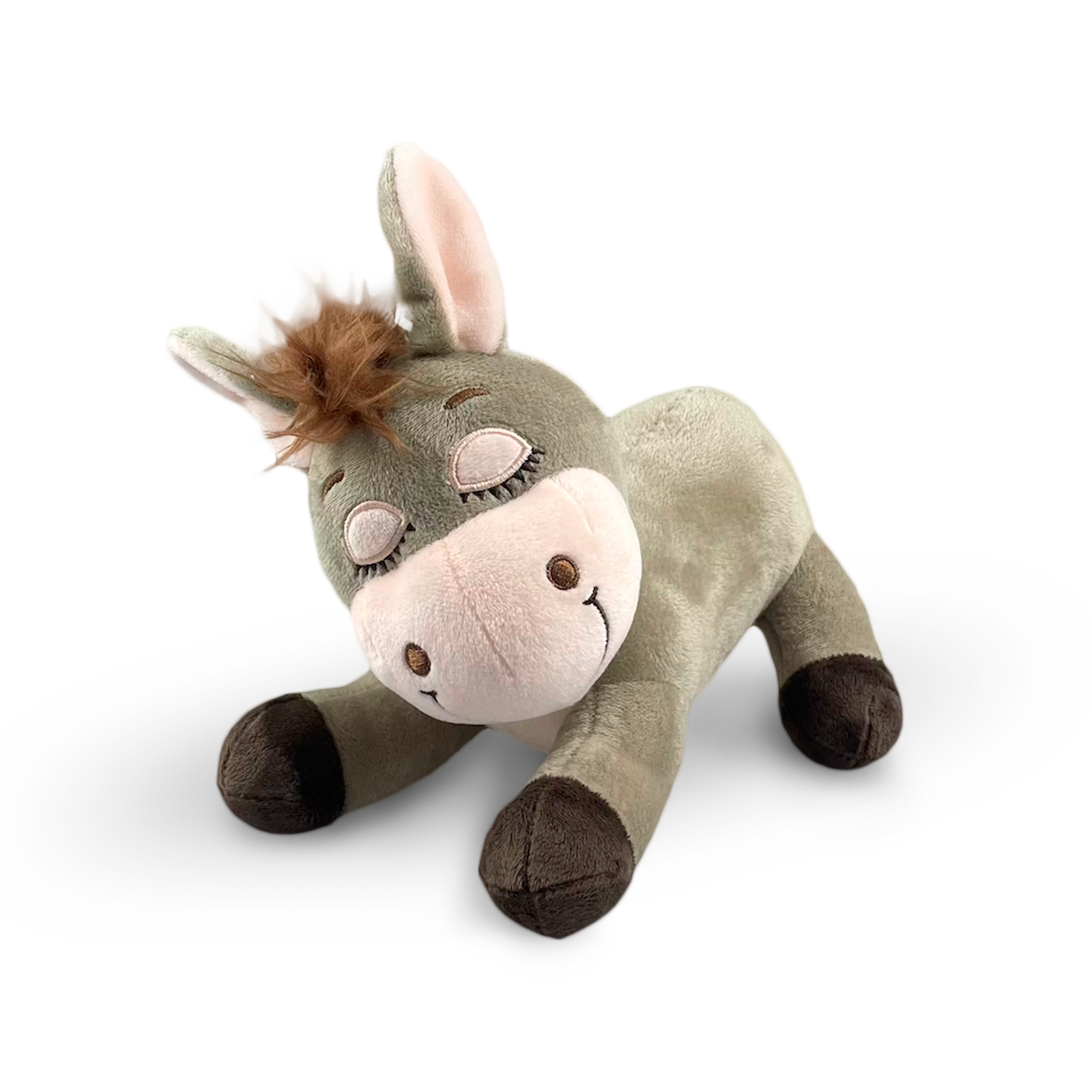 Chewy the Donkey