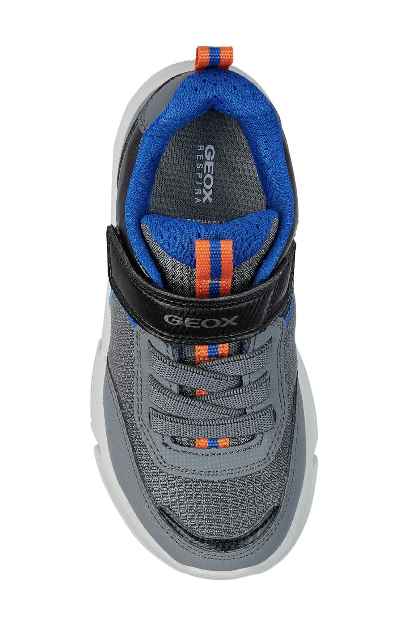 Kids' Aril Sneaker, Alternate, color, DK GREY/ ROYAL