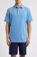 Peter Millar Hales Performance Jersey Polo