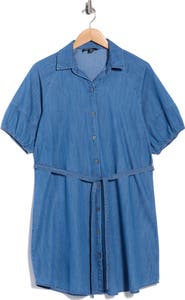 Trove New York Puff Sleeve Denim Shirt Dress
