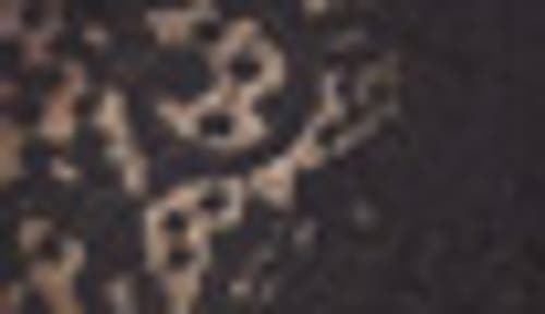 Wacoal Halo Lace Full Figure Underwire Bra In Black