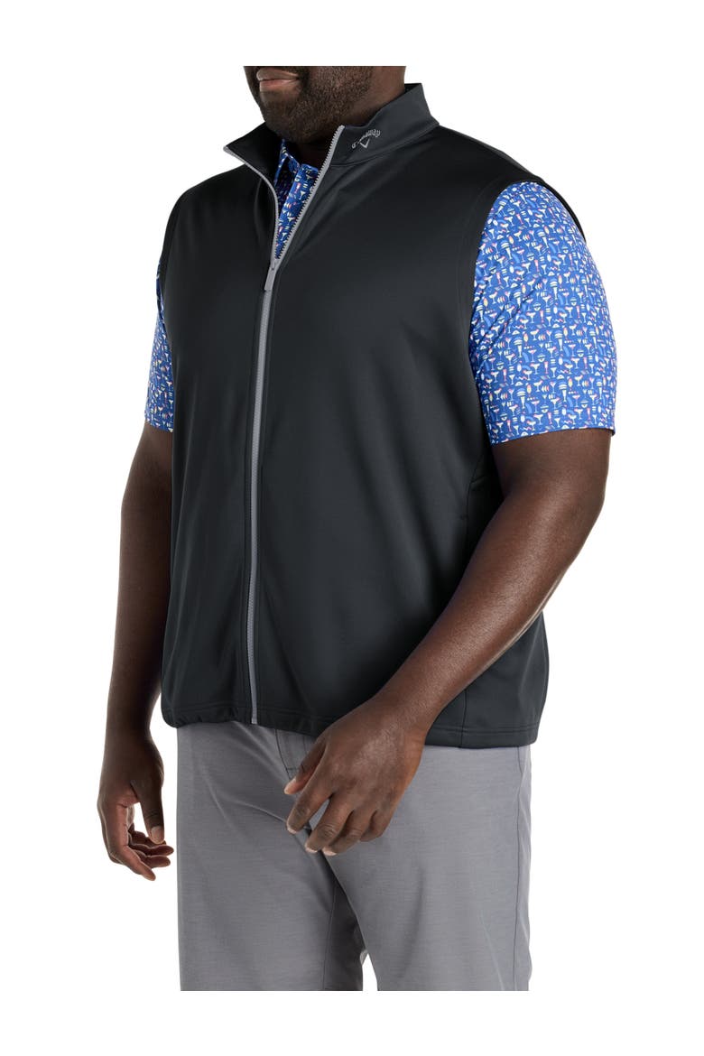 Big & Tall Zip-Front Fleece Vest, Alternate, color, CAVIAR