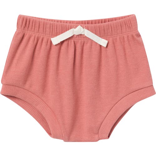 Modern Moments™ By Gerber Bodysuits & Shorts 4-pack Set In Beige Loster/md Rose