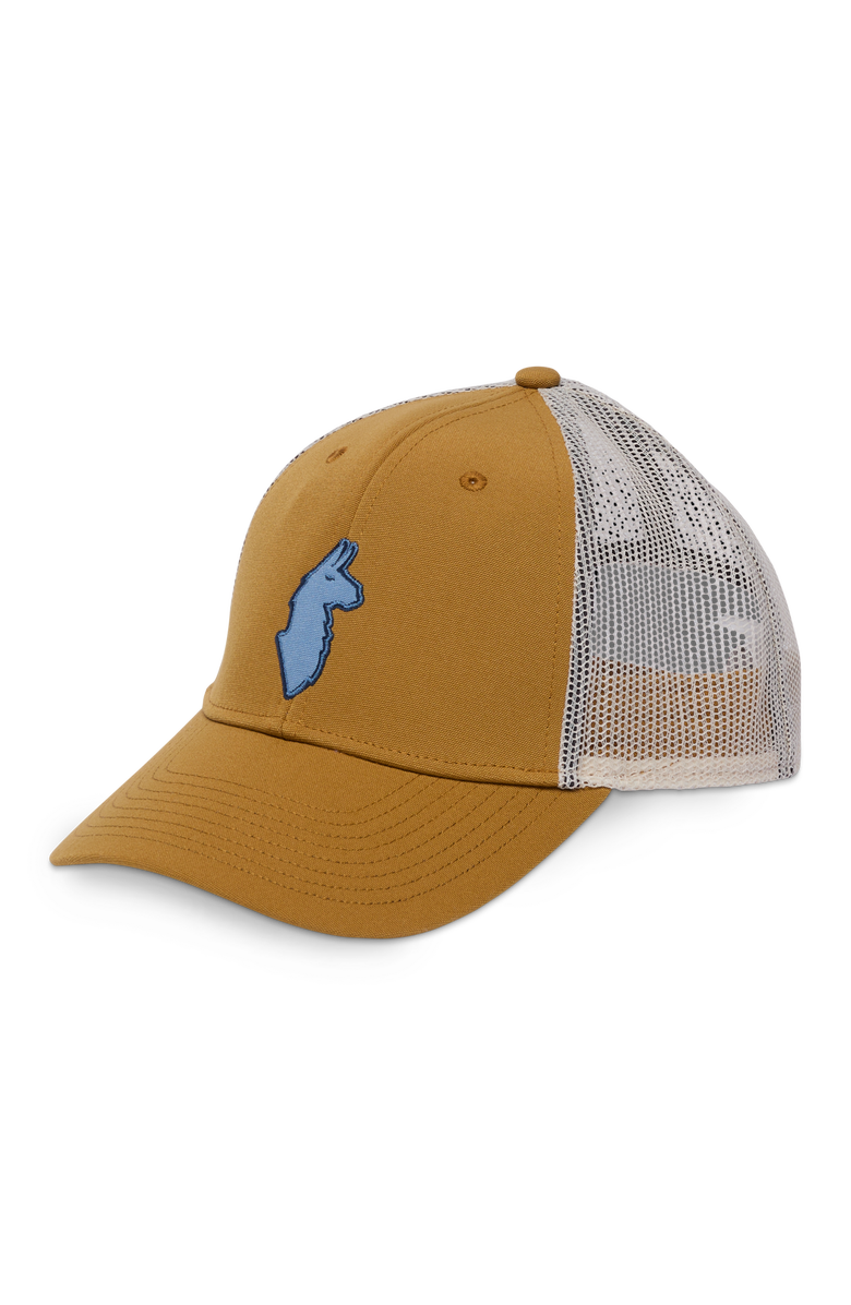 Cotopaxi Llama Trucker Hat, Main, color, Bronze