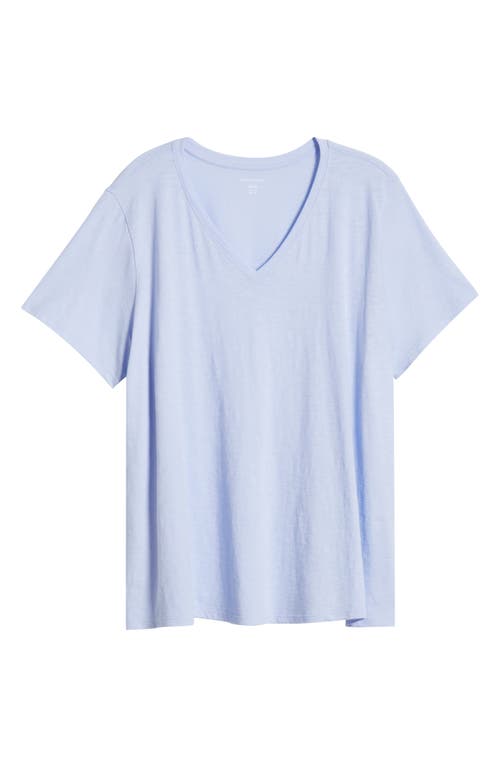 Eileen Fisher Easy V-neck Organic Cotton T-shirt In Bellflower