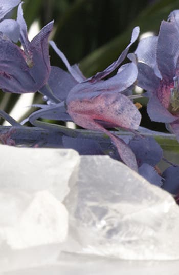Wild Bluebell Cologne