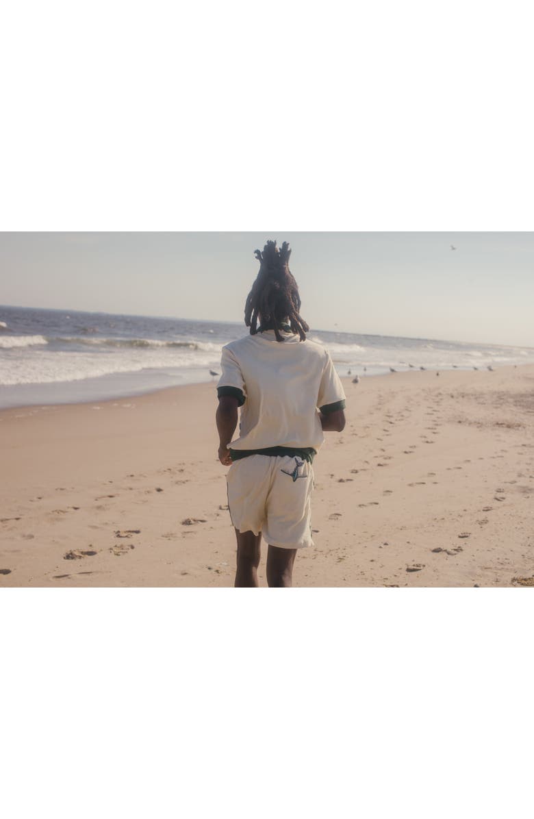 Tombolo 'The Angler' Cabana Shorts, Alternate, color, 