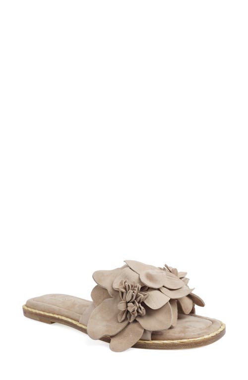 Zigi Artisan Aurra Slide Sandal In Sand