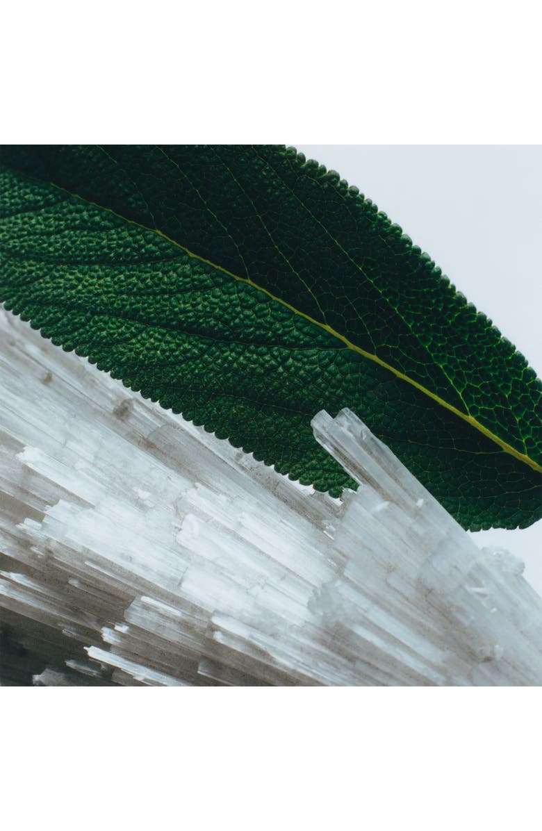 Jo Malone London<sup>™</sup> Wood Sage & Sea Salt Cologne & Hand Cream Layering Set, Alternate, color, 