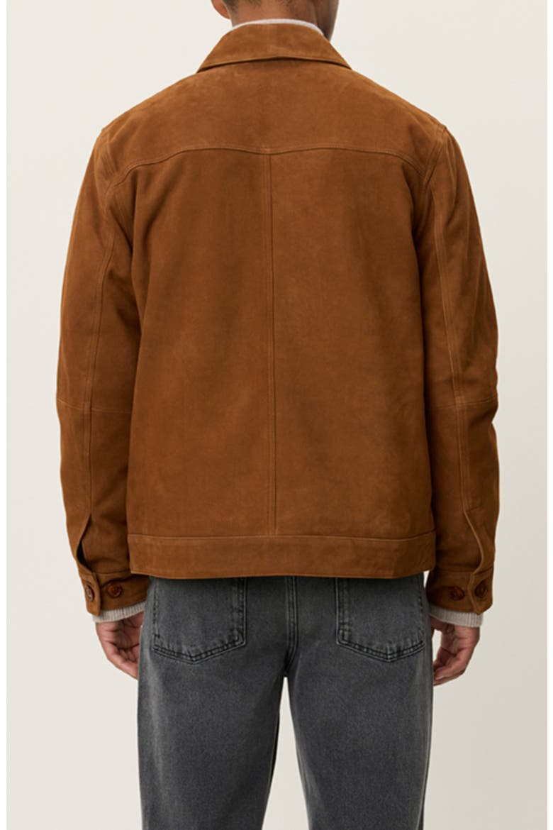 Nyle Goatskin Suede Coach's Jacket, Alternate, color, BROWN