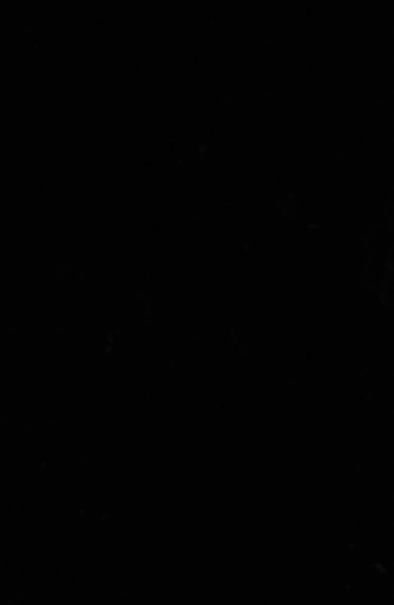 McQueen Halter Neck Silk Georgette Evening Gown, Alternate, color, Black