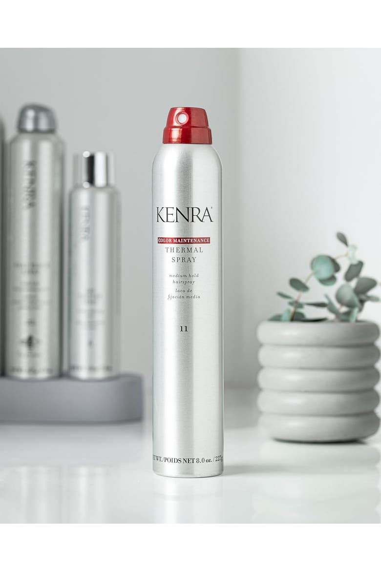 11 Color Maintenance Thermal Spray 8 oz, Alternate, color, N/A