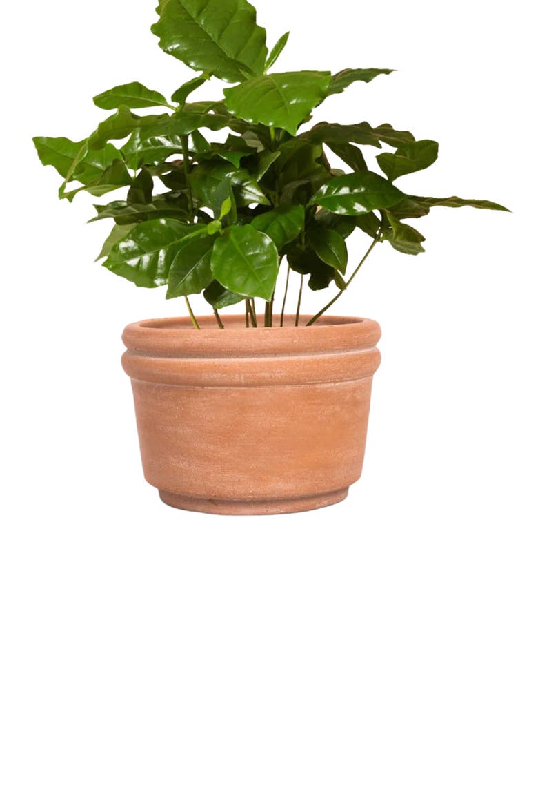 Felipe Terracotta Planter, Alternate, color, Natural