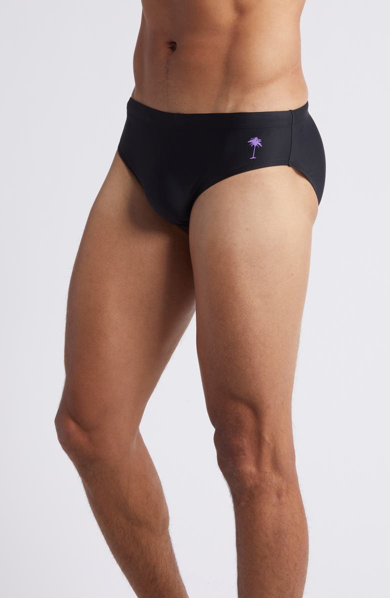 Boardies Swim Briefs, Alternate, color, 