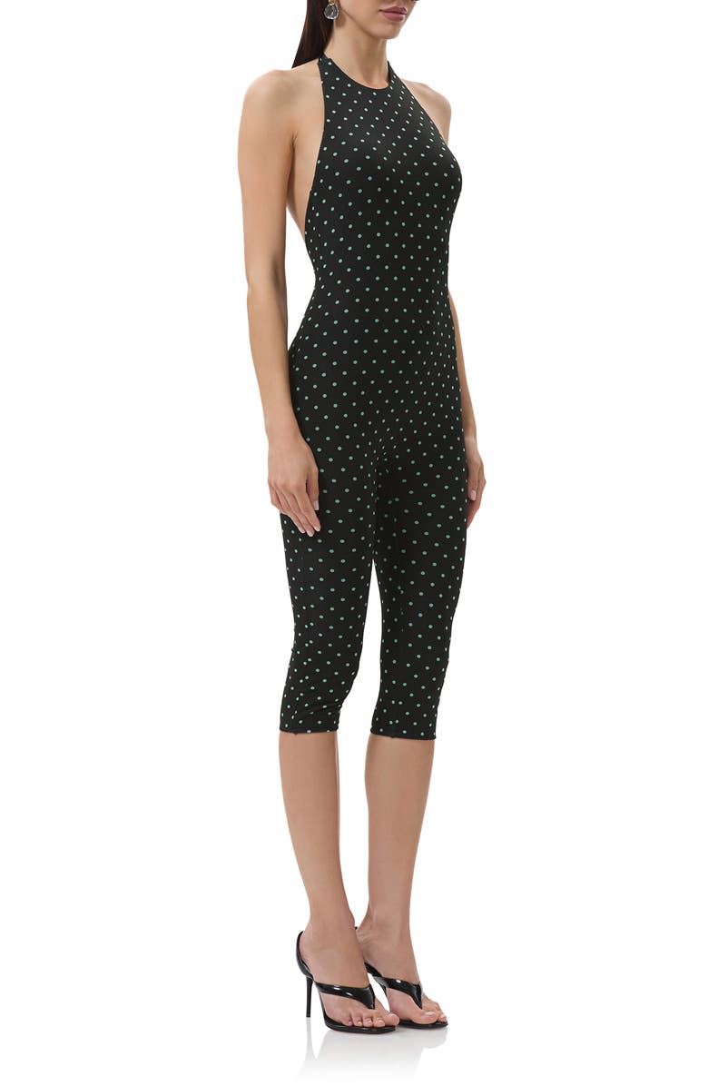 AFRM Lucia Printed Halter Capri Jumpsuit, Alternate, color,