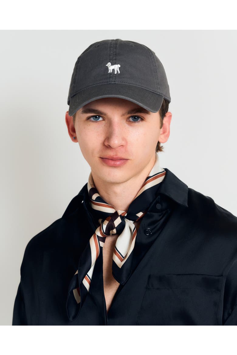 "Pan Pan" Baseball Cap, Alternate, color, Deep Grey