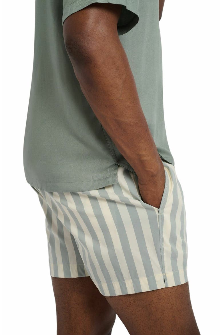 Charles 4" Swim Trunk, Alternate, color, SAGE/CREAM
