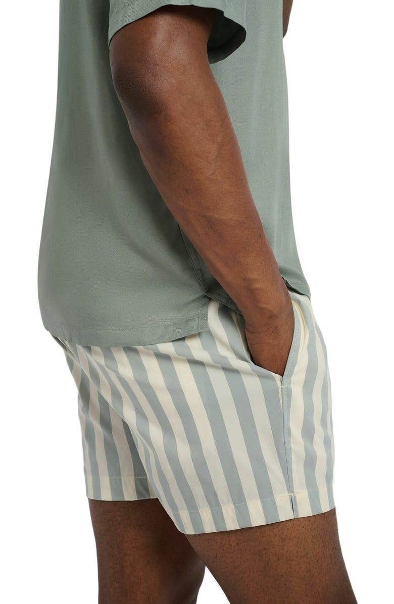 Onia Charles 4" Swim Trunk, Alternate, color, Sage/Cream