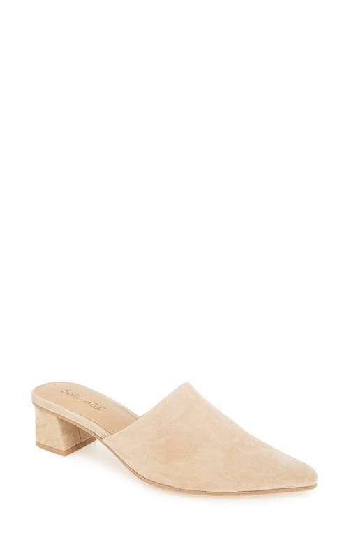 SPLENDID SPLENDID LORELEI MULE