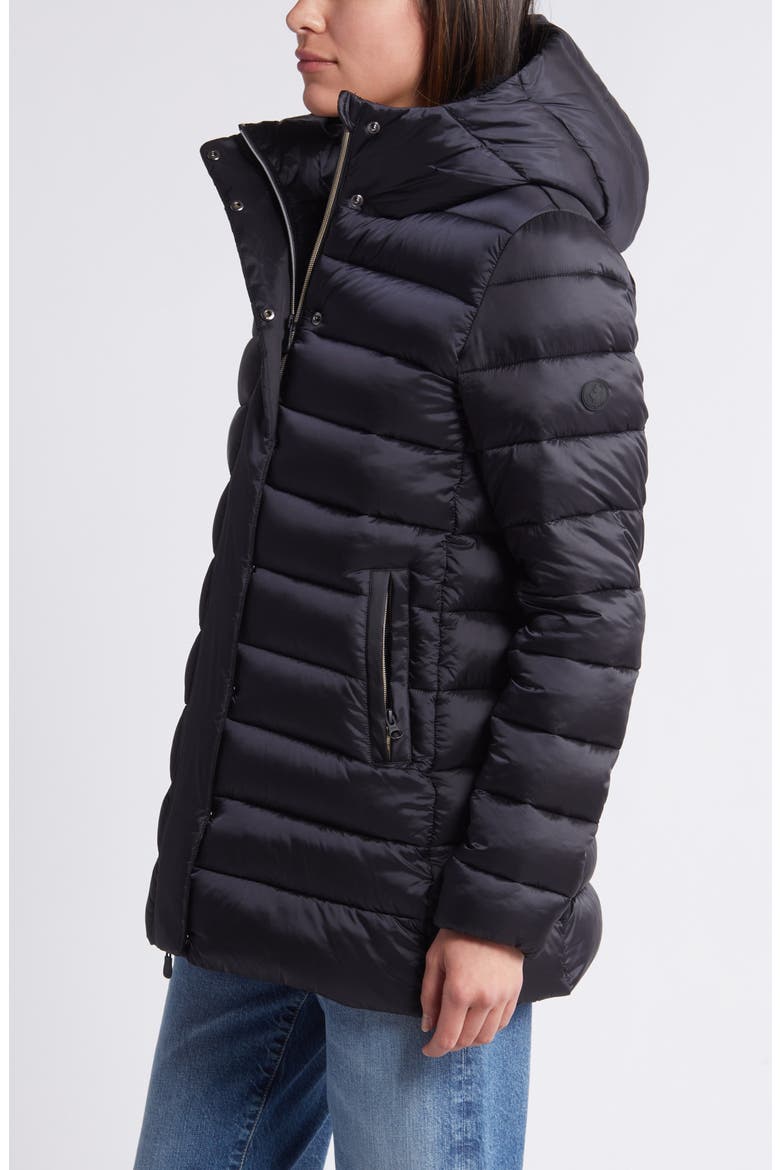 Danis Water Resistant Nylon Puffer Jacket, Alternate, color, BLACK