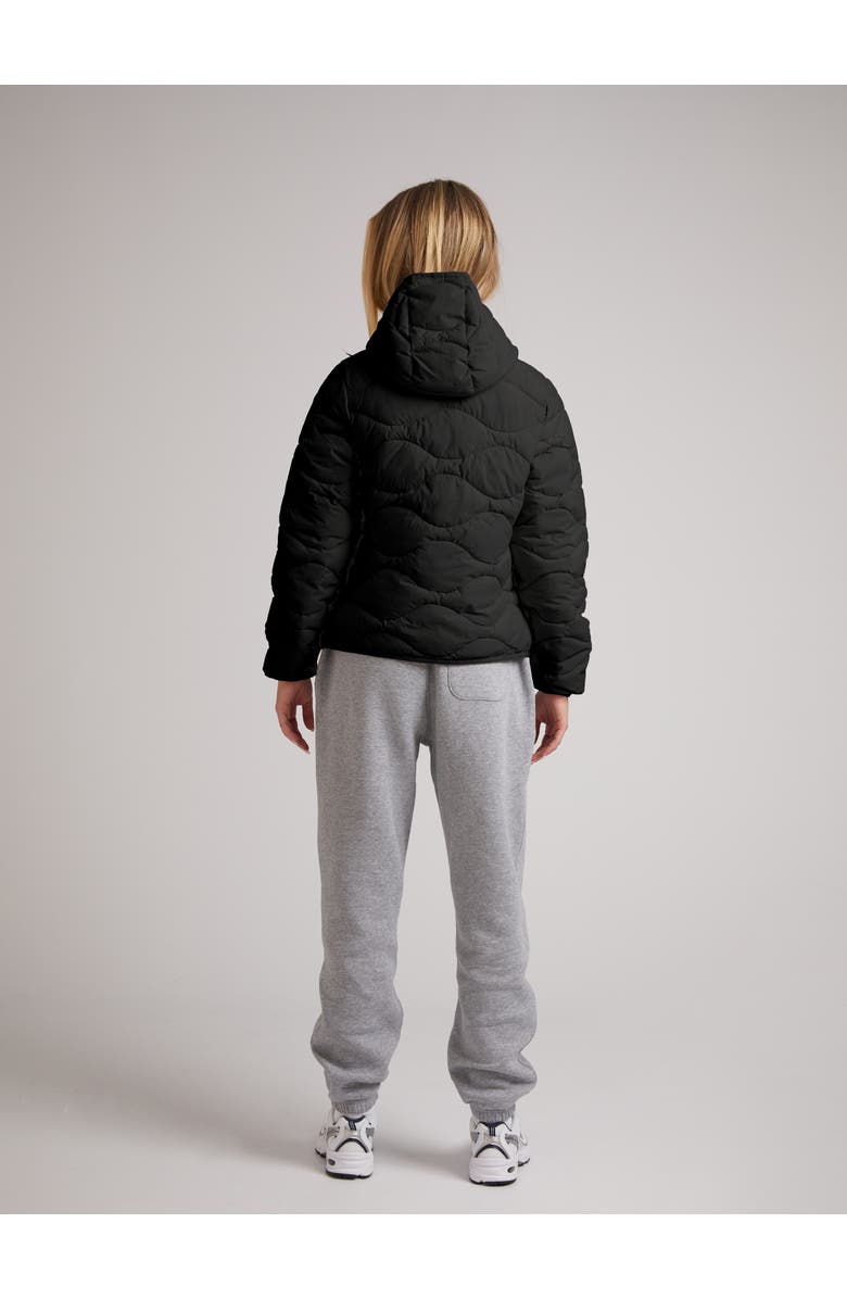 JACK1T Orb1T Hooded Jacket, Alternate, color, Black