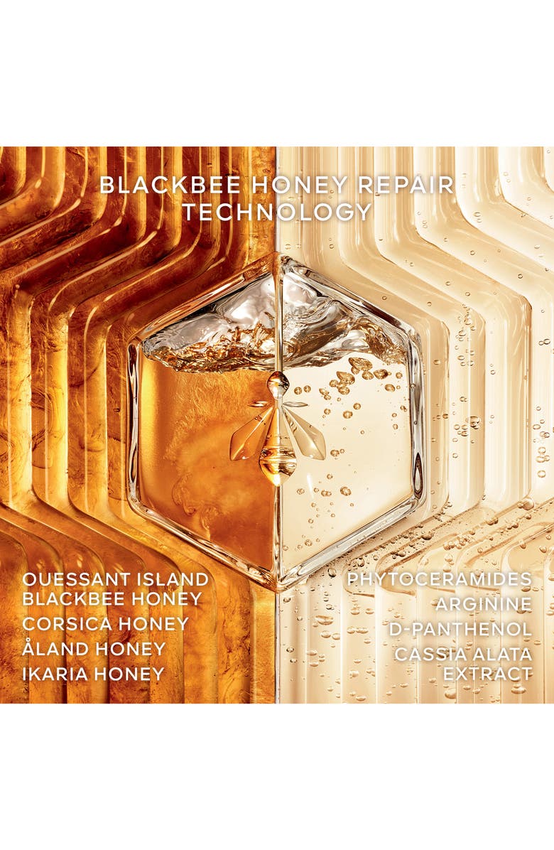 Guerlain Abeille Royale Scalp & Hair Youth Ritual Set (Limited Edition) $170 Value, Alternate, color, 