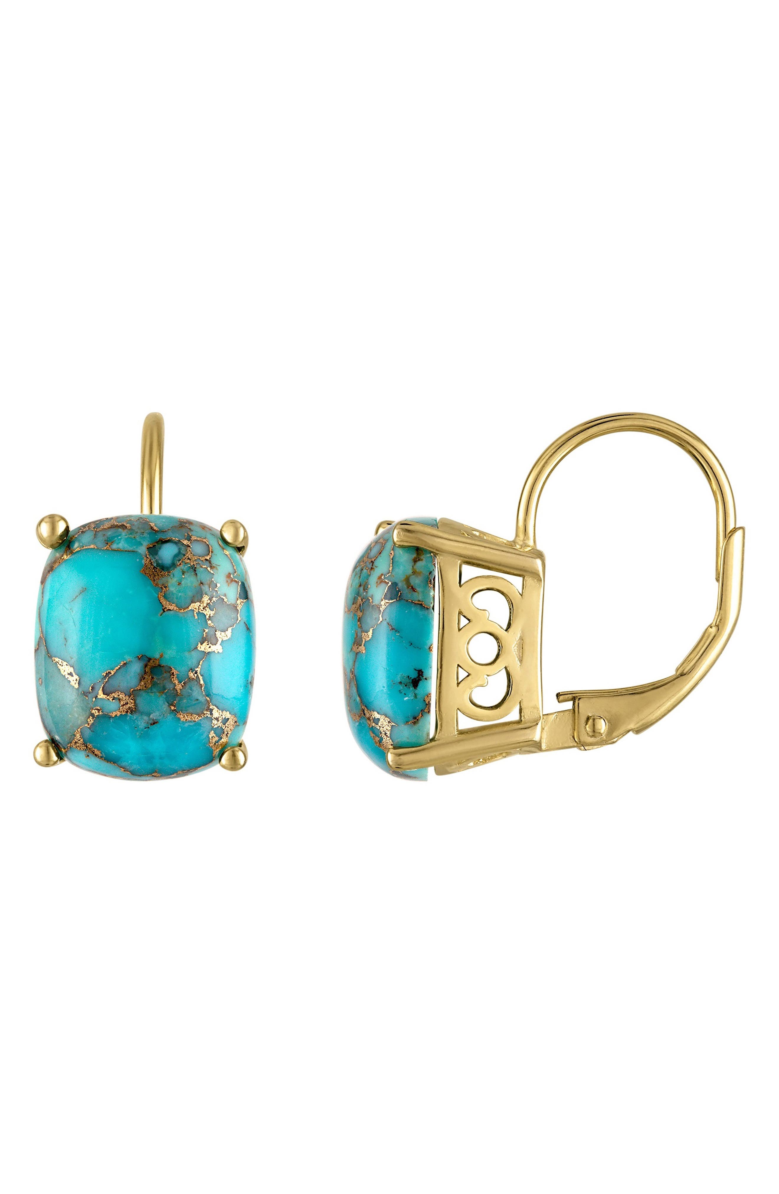 FZN Composite Turquoise Drop Earrings