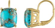 FZN Composite Turquoise Drop Earrings
