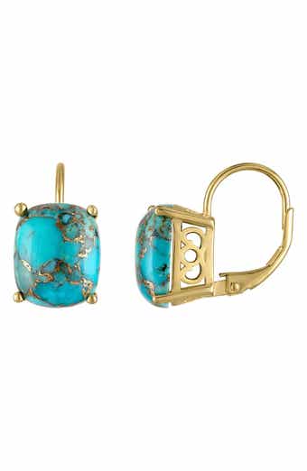 FZN Composite Turquoise Drop Earrings