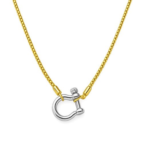 Hollywood Sensation Lucky Lock Carabiner Necklace Two Tone Mixed Metal Horseshoe Pendant Chain