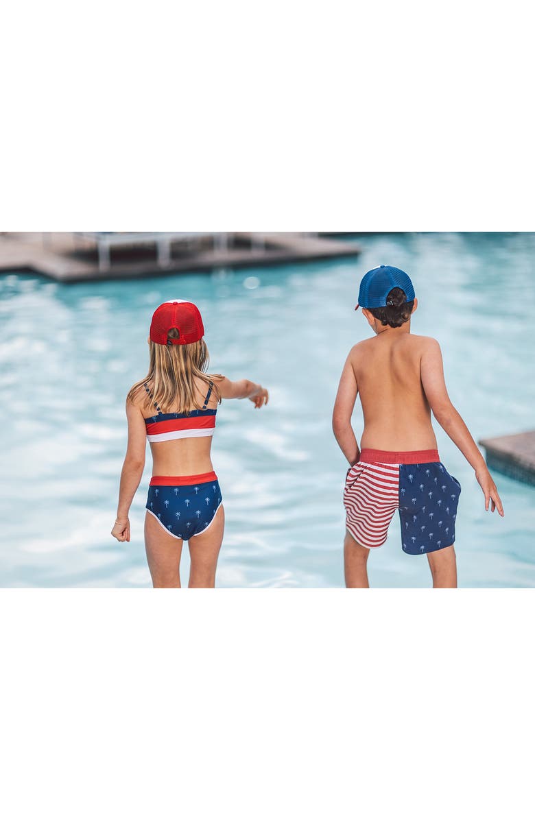 Feather 4 Arrow Palm Stripe Volley Swim Trunks, Alternate, color, 