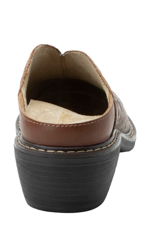 Alegria By Pg Lite Michy Mule