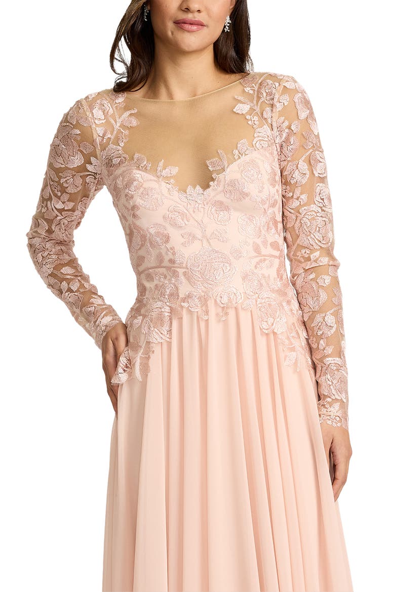 Illusion Lace Embroidered Sleeve Gown, Alternate, color, PALE PINK