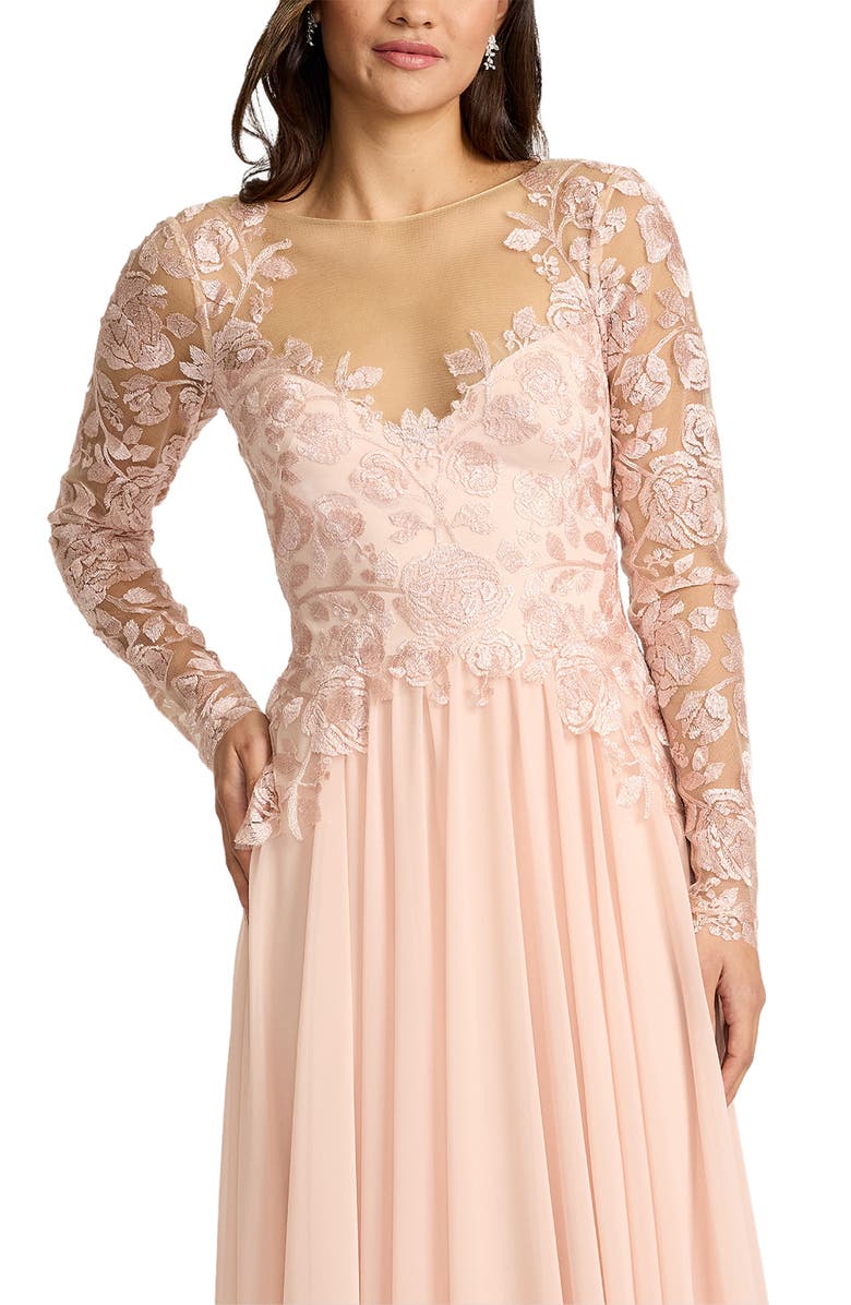 Tadashi Shoji Illusion Lace Embroidered Sleeve Gown, Alternate, color, Pale Pink