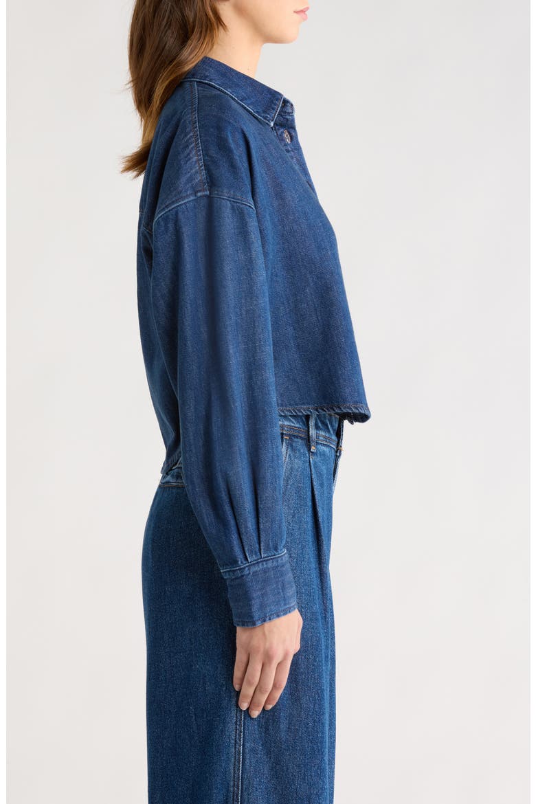 The Ex-Boyfriend Crop Shirt, Alternate, color, MESA