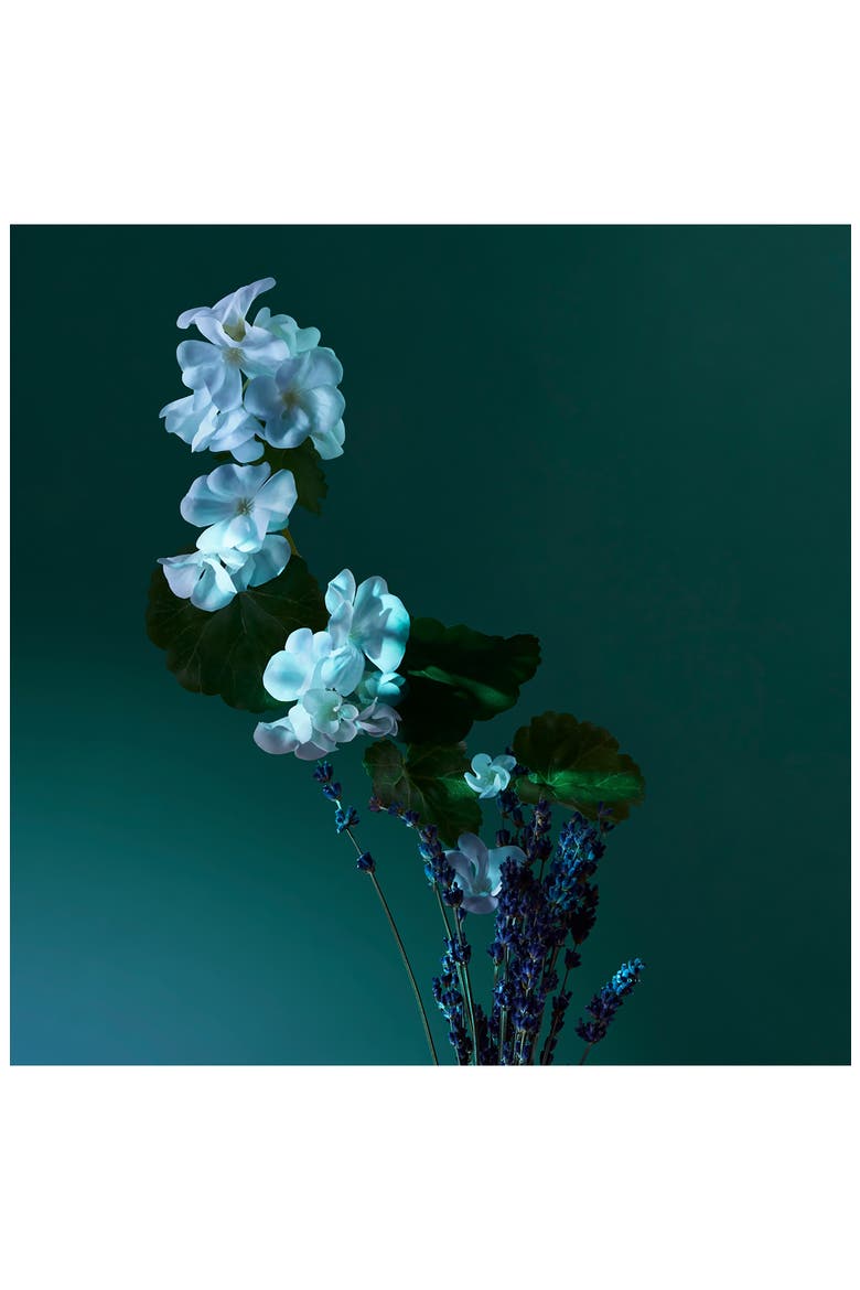 A Balm of Calm Eau de Parfum, Alternate, color, NO COLOR