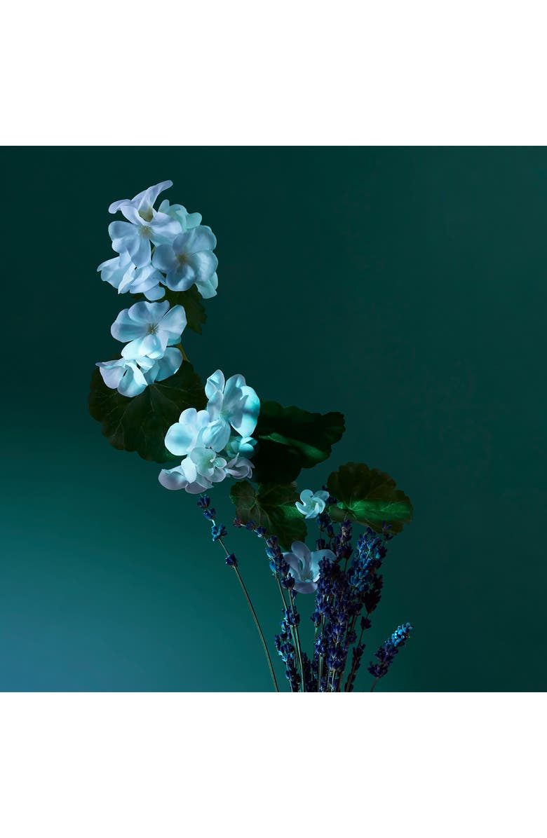 Penhaligon's A Balm of Calm Eau de Parfum, Alternate, color, 